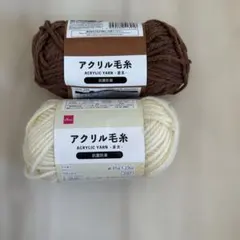 DAISO アクリル毛糸 並太 2色セット