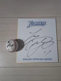 2025年最新】大谷 サインボールの人気アイテム - メルカリ