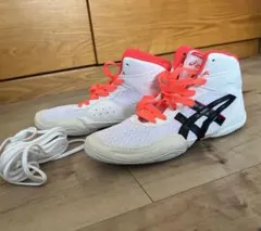 ASICS スニーカー ホワイト　２２センチ