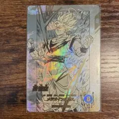 APT-002 孫悟空 パラレル