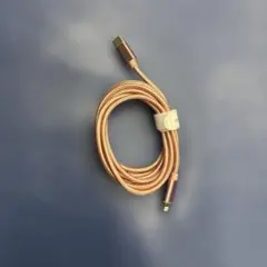 USB-C to Lightning 充電ケーブル 1.2m ローズゴールド