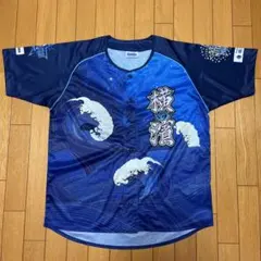 Item thumbnail for item c61b6fdd-971e-4169-ac14-4bc0f183a9f8