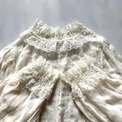 cawaii レース 刺繍 ブラウス シースルー エンブロダイリー