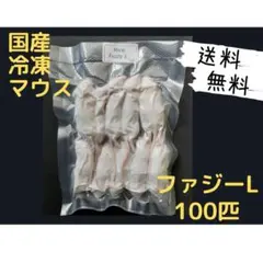 送料無料 冷凍マウスファジーS100匹 - メルカリ
