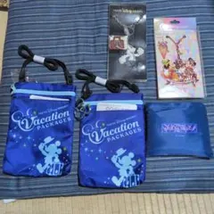 東京ディズニーリゾート キーホルダー　エコバッグ　ポーチ　アンバサダー　チェーン