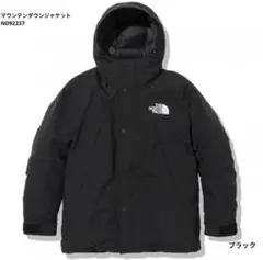 美品 着用回数低 TNFマウンテンダウンジャケット ND92237
