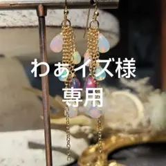 わぁイズ様専用ですm(_ _)m