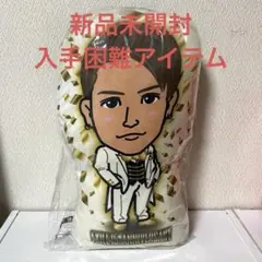 【激レア】EXILE 岩田剛典 クッション 15thAnniversary限定