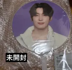 SEVENTEEN ウォヌ FOLLOW AGAIN ピケット うちわ