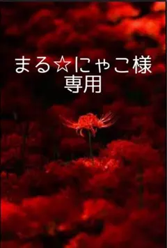 まる☆にゃこ様専用