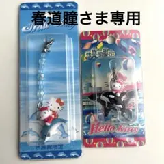 ご当地キティ　水族館限定！　イルカバージョン 【未使用　美品】　2点まとめ売り