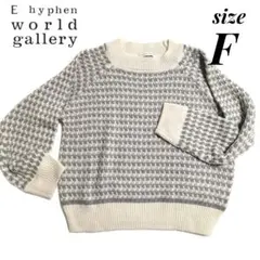 【E hyphen world gallery】ニット フリーサイズ