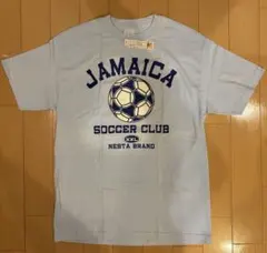 【未着用】NESTA Tシャツ　サイズL MADE IN USA ライトブルーのサムネイル