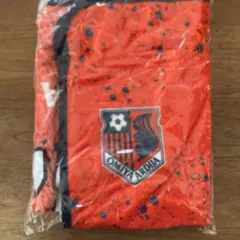 Item thumbnail for item efdaa7b2-c823-4846-a614-798859df2027