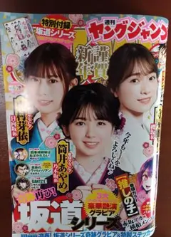 Item thumbnail for item aa60df40-1b3f-4054-98f4-4fa72582dc34