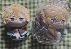 崩壊スターレイル ファイノン 着せ替え40cmぬいぐるみ ② - メルカリ