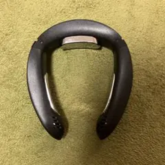 Item thumbnail for item f8530b31-8e01-4454-9bfb-5b2075f3bc52