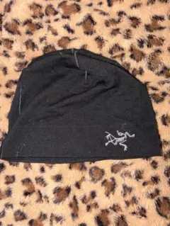 完売品・新品】Arc'teryx アークテリクス ロートーク L/XL - メルカリ
