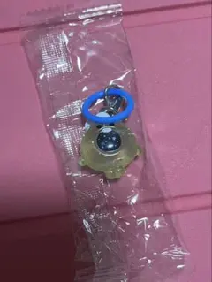 treasure めじるしアクセサリー　ジョンファン　PODONG