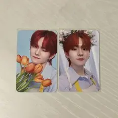 TREASURE ヨシ blooming トレカ