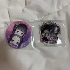 鬼滅の刃 胡蝶しのぶ 栗花落カナヲ 缶バッジ アクリルキーホルダー