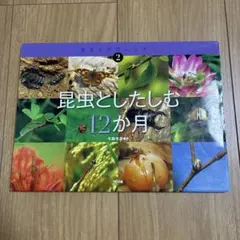 Item thumbnail for item 19267fbd-4b8f-43a8-ae55-915be6fcc1bd