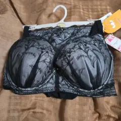 ご専用、チュチュアンナ　新品　永遠のブラジャーG70&ショーツ