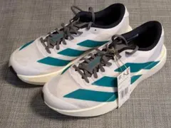 Item thumbnail for item 138139cf-f3e9-400d-b75c-9e28b2ee62cc