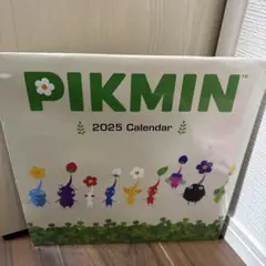 日本未発売　Pikmin 2025 Calendar 壁掛けカレンダー