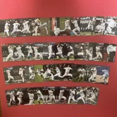 プロ野球チップスカード　埼玉西武ライオンズ　58枚セット
