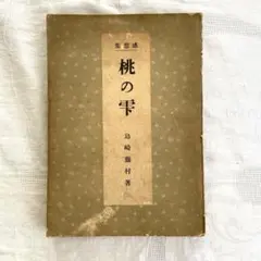 Item thumbnail for item 901874bd-b379-4b58-8148-aa0913a4f0c4