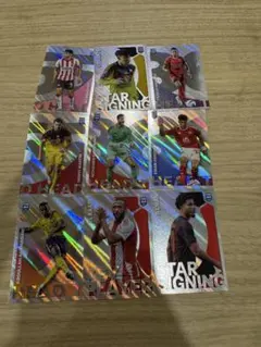 Item thumbnail for item 3271fbf8-2800-40b2-a473-d13474617706