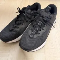 Item thumbnail for item 70207f69-ba3b-4440-89d6-08db2478dc14