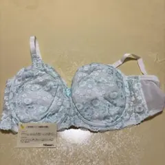 Item thumbnail for item b2338663-44c2-45f9-977a-d18b6c59af14