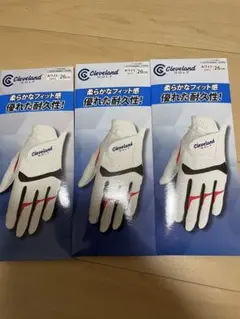 Item thumbnail for item 6f03bb9f-a50d-452d-bae8-942669afd184