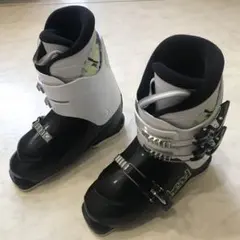 Item thumbnail for item 4357550b-e389-4ba4-9f99-8f03b78b9367