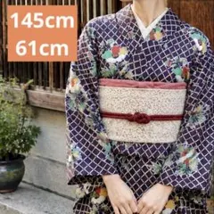 145cm 銘仙　袷　着物　アンティーク　小紋