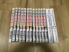 新世紀エヴァンゲリオン全巻　13巻、14巻特装版