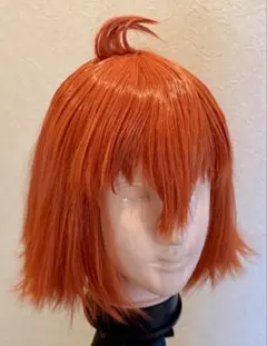 2026年最新】藤丸 ウィッグの人気アイテム - メルカリ