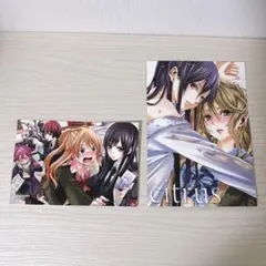 citrus メロンブックス サブロウタ 特典 ポストカード イラストカード