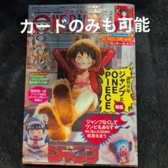 ワンピースマガジン