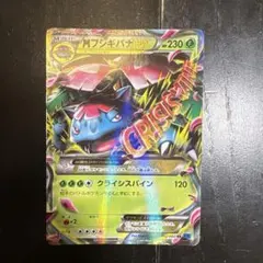 美品。MフシギバナEX RR XY1 コレクションX 002/060