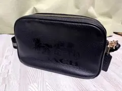 コーチ ホースアンドキャリッジ カメラバッグ レザー