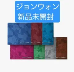 ENHYPEN THE SIN:VANISH ジョンウォン 新品未開封