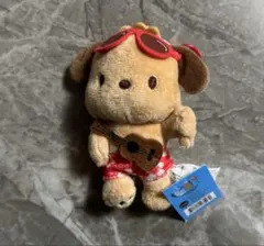 ポチャッコ ぬいぐるみ キーホルダー ハワイ ダイヤモンドヘッド限定