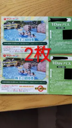 東京サマーランド 1Dayパス 招待券2枚 有効期間2026.10.12までのサムネイル