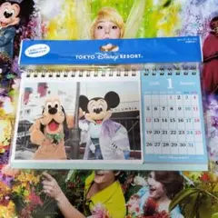 ☆新品未開封♪東京ディズニーリゾート　カレンダー　2026　ポストカード☆