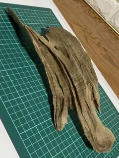 Item thumbnail for item 05d34296-6386-4981-b02f-c4da372e62eb