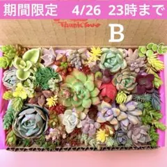 さとぴ様 リクエスト 2点 まとめ商品