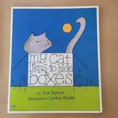 my cat likes to hide in boxes